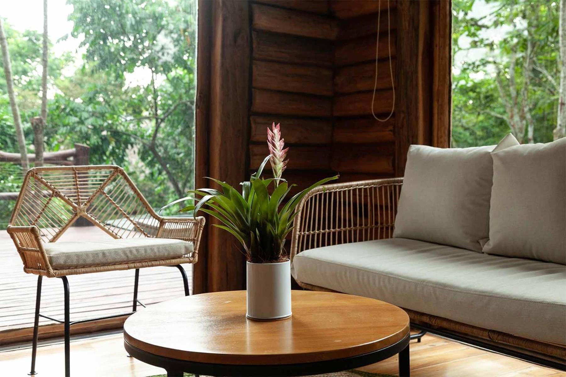 Hotel Boutique Maitta En Doradal Antioquia Eksteriør bilde